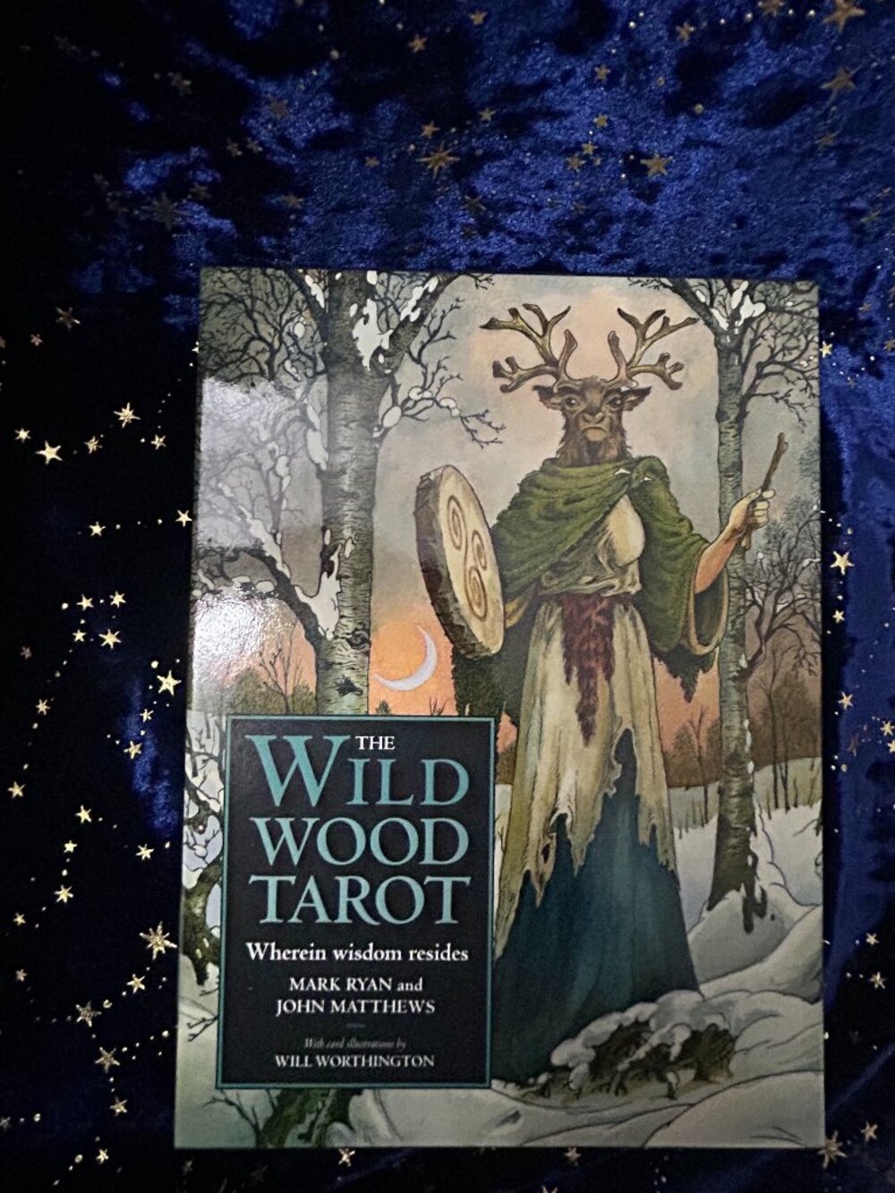 The Wildwood Tarot Complete Boxed Set & Book